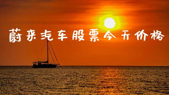 蔚来汽车股票今天价格_https://qh.lansai.wang_期货喊单_第1张