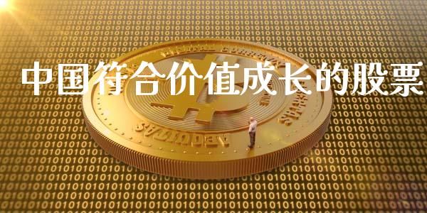 中国符合价值成长的股票_https://qh.lansai.wang_新股数据_第1张