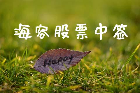 海容股票中签_https://qh.lansai.wang_期货理财_第1张