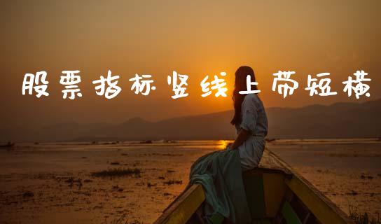 股票指标竖线上带短横_https://qh.lansai.wang_期货怎么玩_第1张