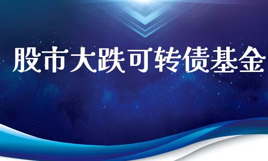 股市大跌可转债基金_https://qh.lansai.wang_期货理财_第1张