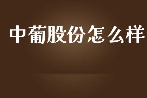 中葡股份怎么样_https://qh.lansai.wang_股票技术分析_第1张