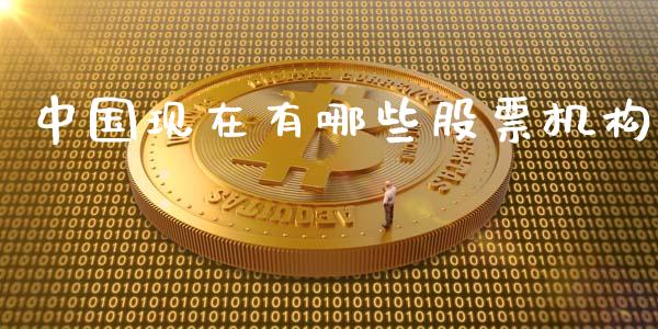 中国现在有哪些股票机构_https://qh.lansai.wang_期货理财_第1张