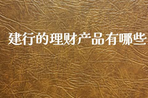 建行的理财产品有哪些_https://qh.lansai.wang_期货喊单_第1张