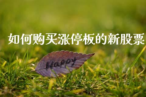 如何购买涨停板的新股票_https://qh.lansai.wang_期货理财_第1张