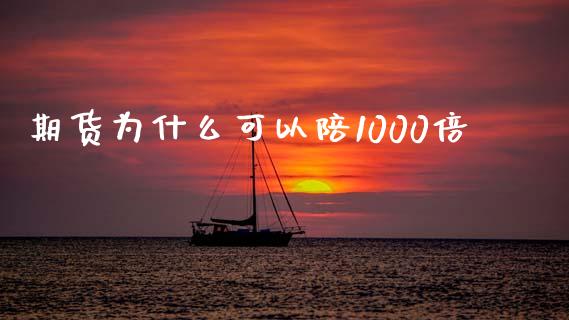 期货为什么可以陪1000倍_https://qh.lansai.wang_期货理财_第1张