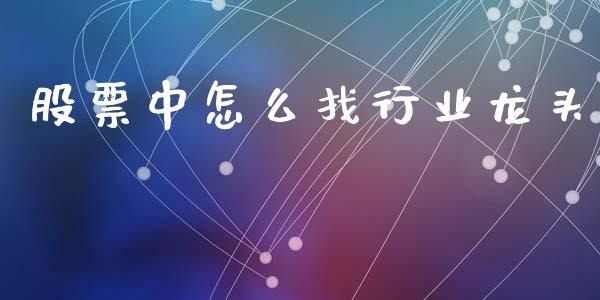 股票中怎么找行业龙头_https://qh.lansai.wang_期货怎么玩_第1张
