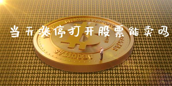 当天涨停打开股票能卖吗_https://qh.lansai.wang_期货理财_第1张