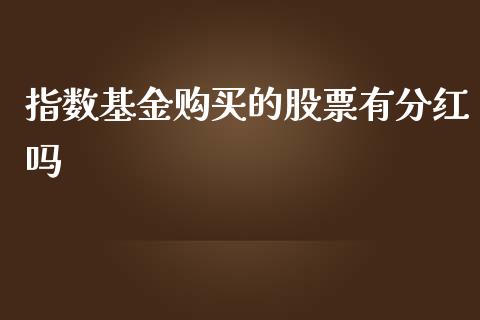 指数基金购买的股票有分红吗_https://qh.lansai.wang_期货喊单_第1张