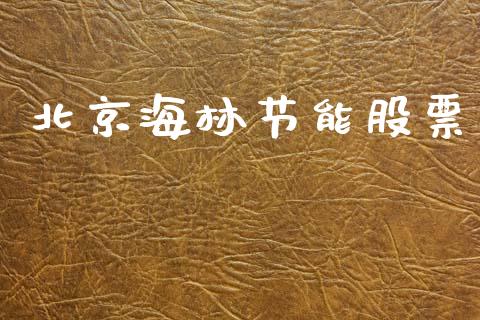 北京海林节能股票_https://qh.lansai.wang_期货喊单_第1张