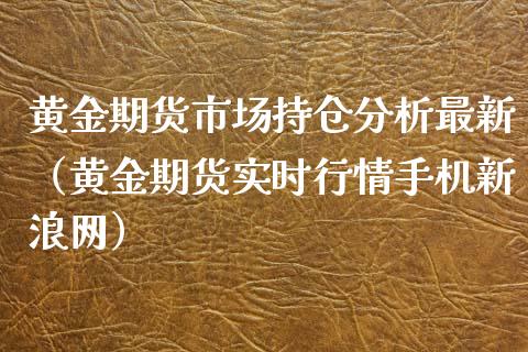 黄金期货市场持仓分析最新（黄金期货实时行情手机新浪网）_https://qh.lansai.wang_期货理财_第1张