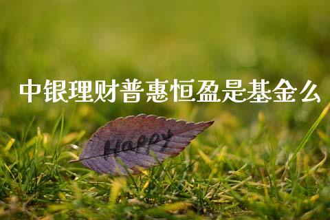 中银理财普惠恒盈是基金么_https://qh.lansai.wang_期货理财_第1张