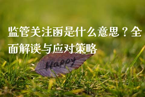 监管关注函是什么意思？全面解读与应对策略_https://qh.lansai.wang_期货喊单_第1张