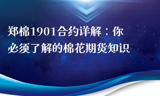 郑棉1901合约详解：你必须了解的棉花期货知识_https://qh.lansai.wang_新股数据_第1张