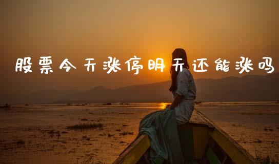 股票今天涨停明天还能涨吗_https://qh.lansai.wang_期货理财_第1张