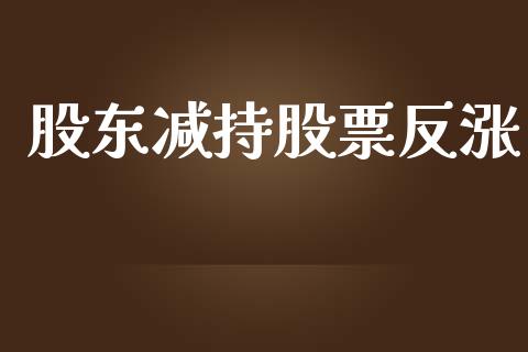 股东减持股票反涨_https://qh.lansai.wang_期货怎么玩_第1张