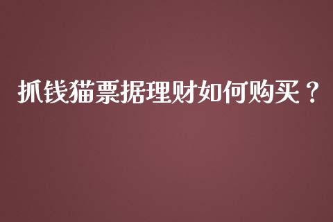 抓钱猫票据理财如何购买？_https://qh.lansai.wang_新股数据_第1张