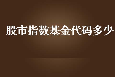 股市指数基金代码多少_https://qh.lansai.wang_期货理财_第1张