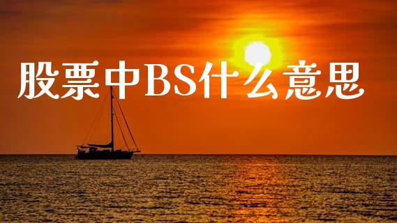 股票中BS什么意思_https://qh.lansai.wang_期货理财_第1张