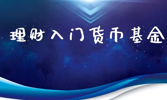 理财入门货币基金_https://qh.lansai.wang_期货理财_第1张