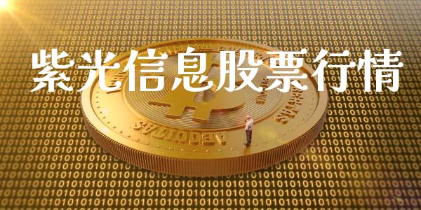 紫光信息股票行情_https://qh.lansai.wang_股票新闻_第1张