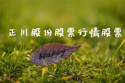 正川股份股票行情股票_https://qh.lansai.wang_期货喊单_第1张