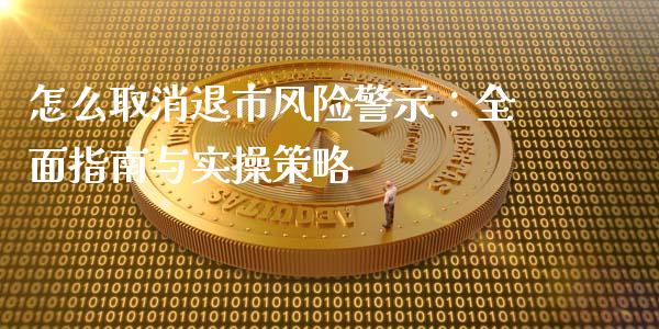 怎么取消退市风险警示：全面指南与实操策略_https://qh.lansai.wang_海康威视股票_第1张