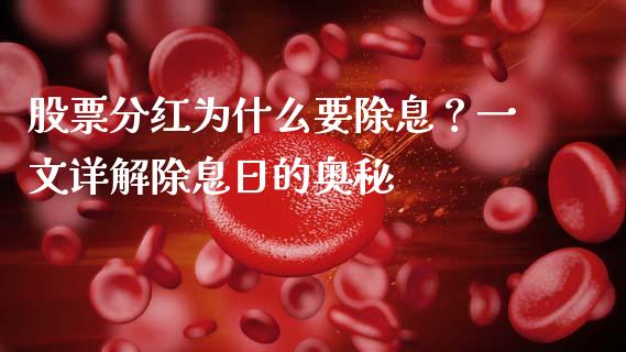 股票分红为什么要除息？一文详解除息日的奥秘_https://qh.lansai.wang_期货怎么玩_第1张