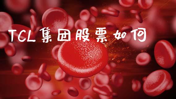 TCL集团股票如何_https://qh.lansai.wang_期货理财_第1张