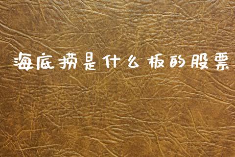 海底捞是什么板的股票_https://qh.lansai.wang_期货理财_第1张