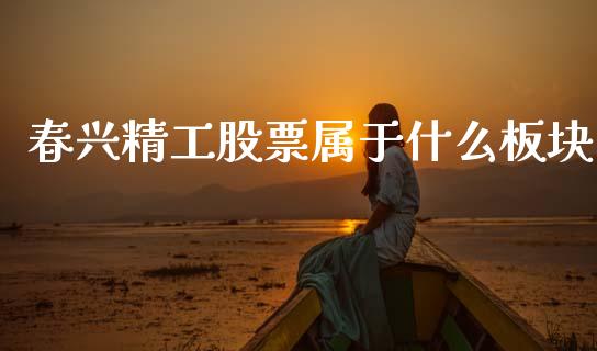 春兴精工股票属于什么板块_https://qh.lansai.wang_新股数据_第1张