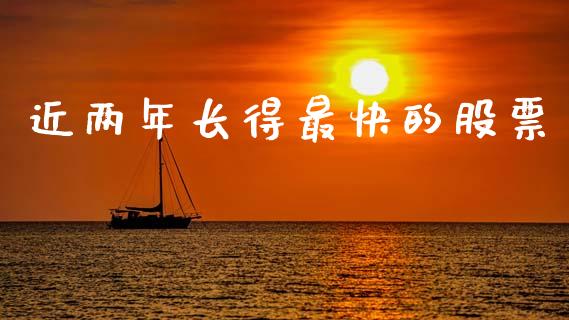 近两年长得最快的股票_https://qh.lansai.wang_期货喊单_第1张
