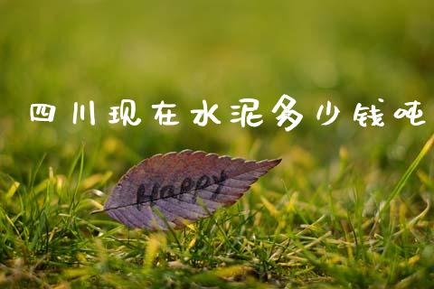 四川现在水泥多少钱吨_https://qh.lansai.wang_期货怎么玩_第1张