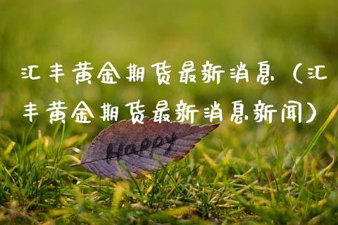 汇丰黄金期货最新消息（汇丰黄金期货最新消息新闻）_https://qh.lansai.wang_股票技术分析_第1张