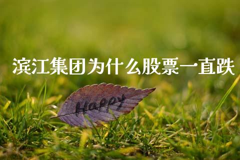 滨江集团为什么股票一直跌_https://qh.lansai.wang_新股数据_第1张