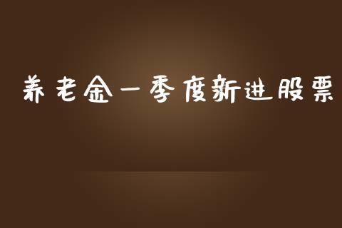 养老金一季度新进股票_https://qh.lansai.wang_期货理财_第1张