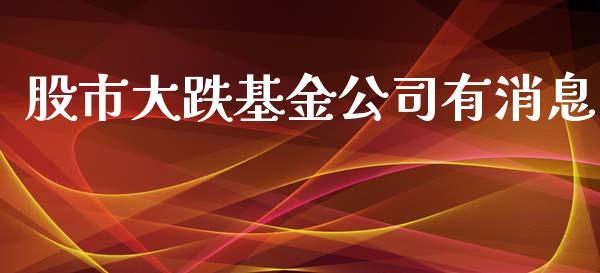 股市大跌基金公司有消息_https://qh.lansai.wang_期货理财_第1张