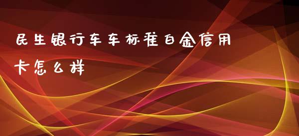 民生银行车车标准白金信用卡怎么样_https://qh.lansai.wang_股票新闻_第1张