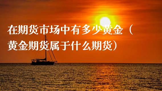 在期货市场中有多少黄金（黄金期货属于什么期货）_https://qh.lansai.wang_股票技术分析_第1张