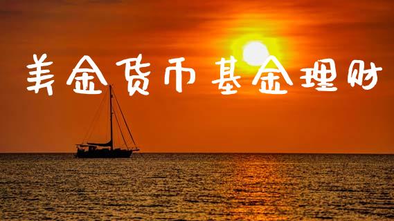 美金货币基金理财_https://qh.lansai.wang_期货理财_第1张