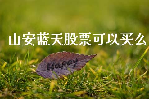 山安蓝天股票可以买么_https://qh.lansai.wang_新股数据_第1张