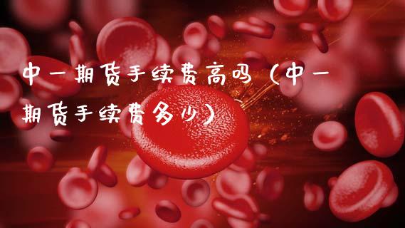 中一期货手续费高吗（中一期货手续费多少）_https://qh.lansai.wang_海康威视股票_第1张