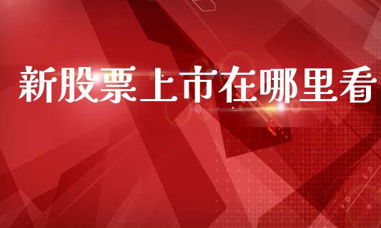 新股票上市在哪里看_https://qh.lansai.wang_期货喊单_第1张