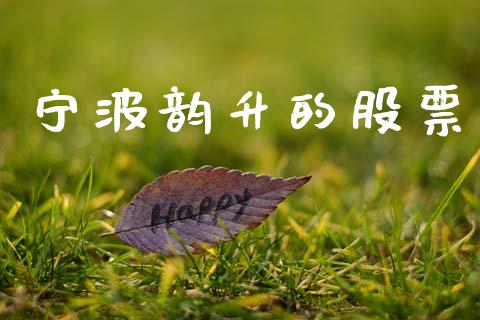 宁波韵升的股票_https://qh.lansai.wang_新股数据_第1张