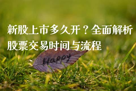 新股上市多久开？全面解析股票交易时间与流程_https://qh.lansai.wang_期货理财_第1张