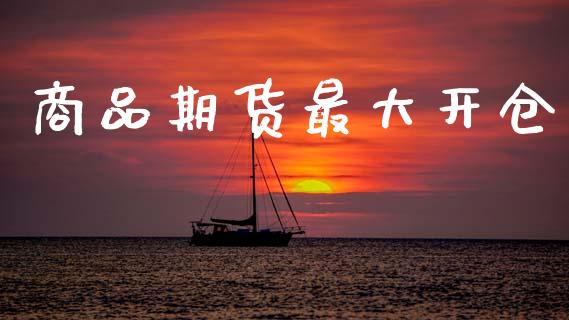 商品期货最大开仓_https://qh.lansai.wang_期货理财_第1张
