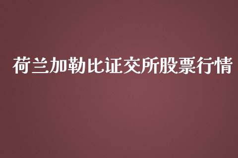 荷兰加勒比证交所股票行情_https://qh.lansai.wang_新股数据_第1张