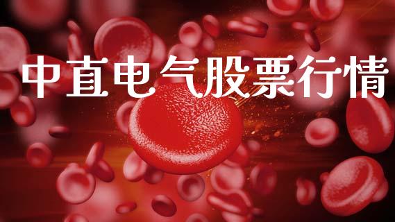 中直电气股票行情_https://qh.lansai.wang_期货喊单_第1张