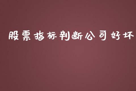 股票指标判断公司好坏_https://qh.lansai.wang_新股数据_第1张