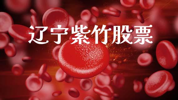 辽宁紫竹股票_https://qh.lansai.wang_期货喊单_第1张